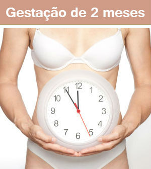 gravidez 2 meses