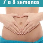 Gestação de 7 a 8 semanas – Características do bebê