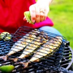 Grávidas podem comer qualquer tipo de peixe e frutos do mar?