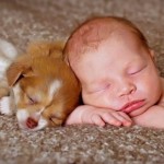 15 fotos de bebês com cachorro dormindo