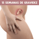 15 semanas de gravidez