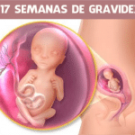 17 semanas de gravidez