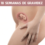 18 semanas de gravidez