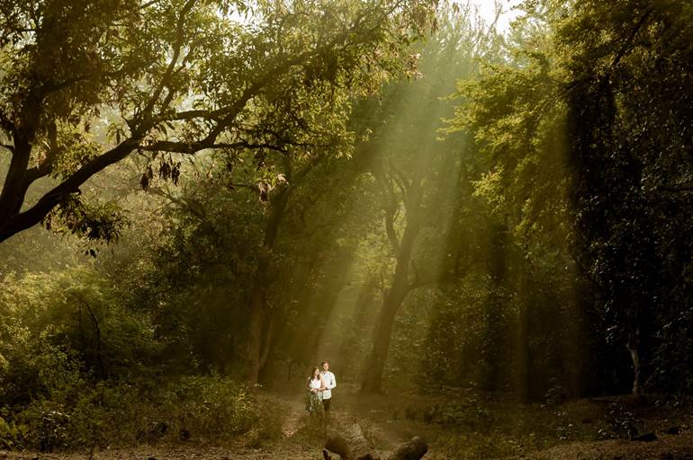 Pré wedding na floresta